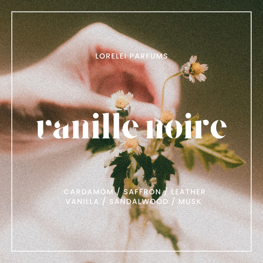 Vanille Noire Pre-Order