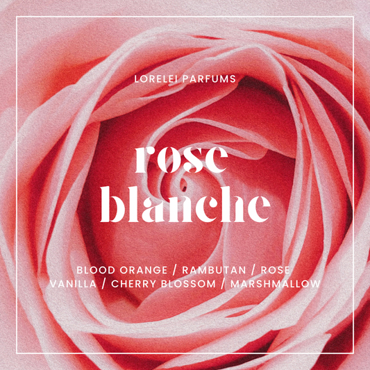 Rose Blanche Pre-Order