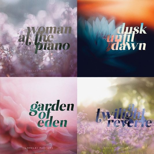 Vault Collection Discovery Set