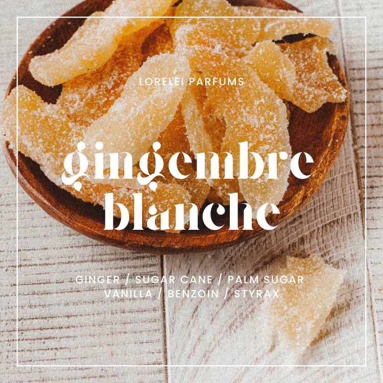 Gingembre Blanche Limited Edition Pre-Order